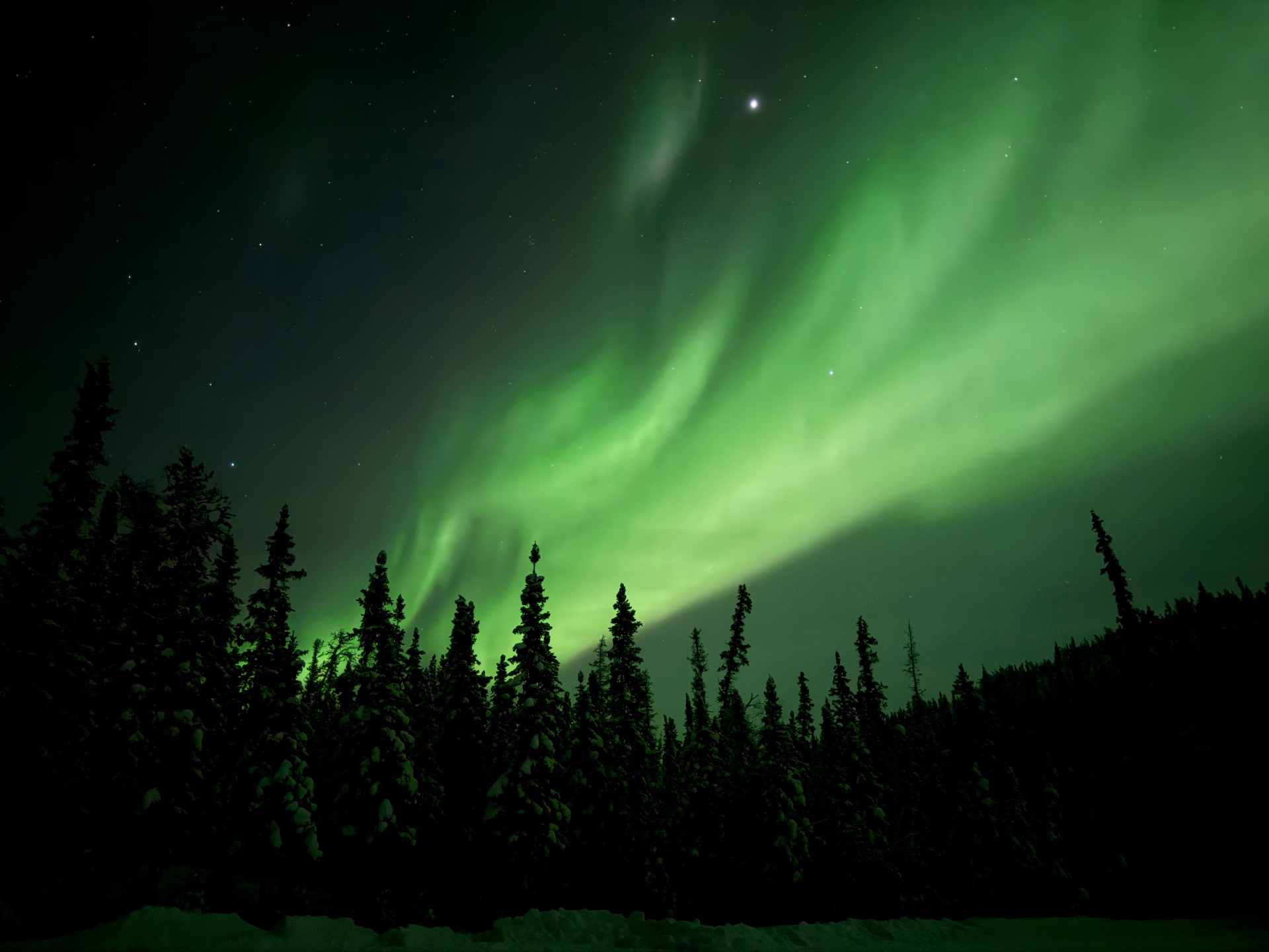 Aurora viewing in the wilderness