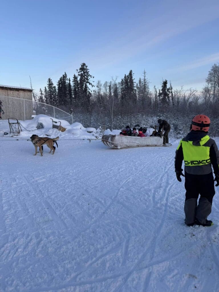 Dog sledding through snowy trails