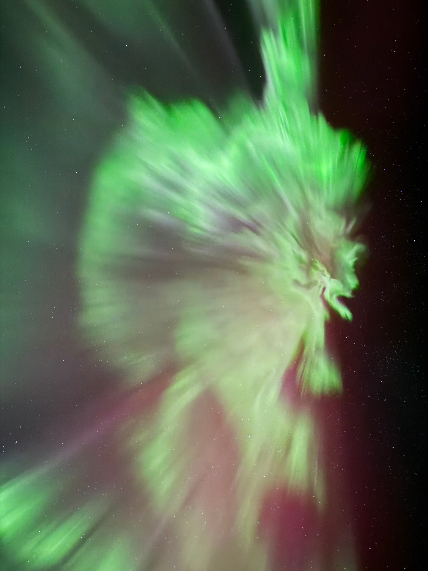 Aurora Village Experience