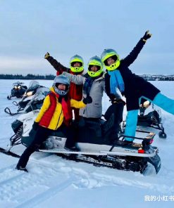 Snowmobile Wilderness Safari